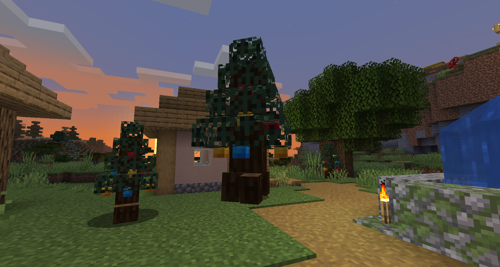 Image showcasing Spruce Willis and Grandfather Willis